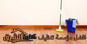 شركة تنظيف بابها