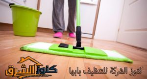 شركة تنظيف بابها