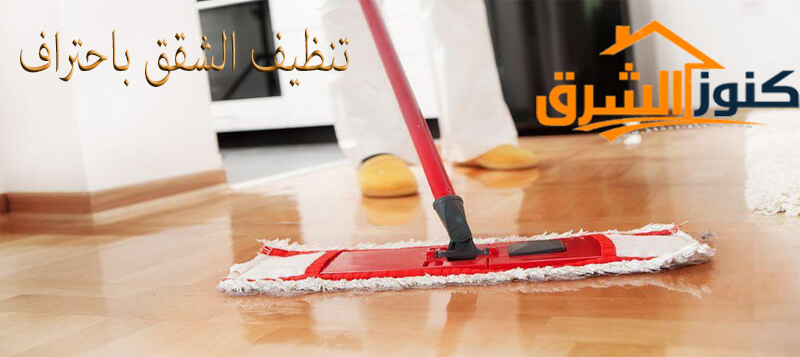 شركة تنظيف منازل بابها