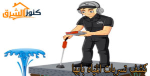 كشف تسربات المياه بابها