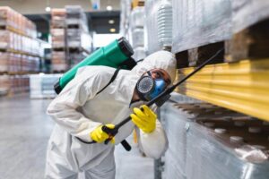 شركة رش حشرات بجازان