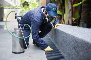 شركة رش مبيدات بجازان